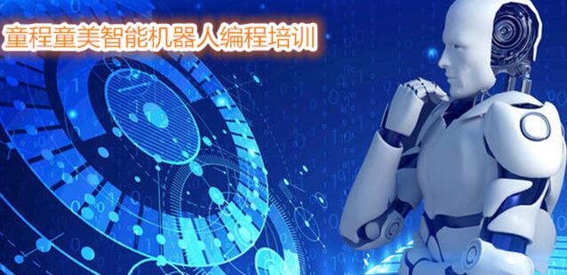 河北省童程童美Botball城市赛集训火热进行中