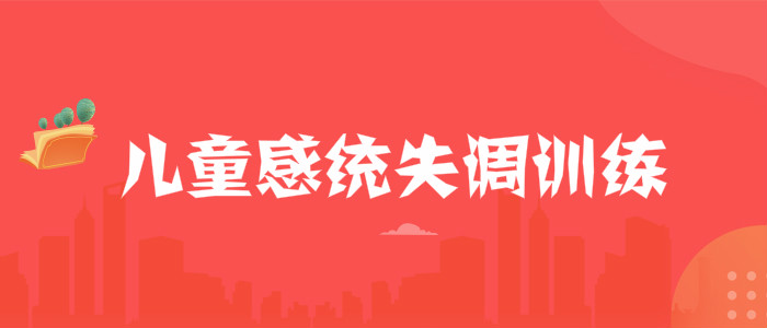 武汉靠谱的感统训练机构