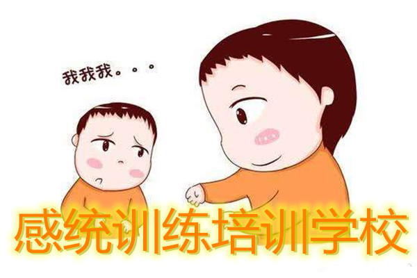 武汉市洪山区儿童感统训练中心