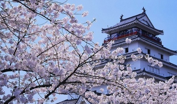 济南口碑好的日语培训机构一览表