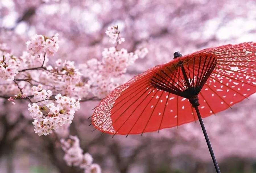 大连日语班哪个培训机构好