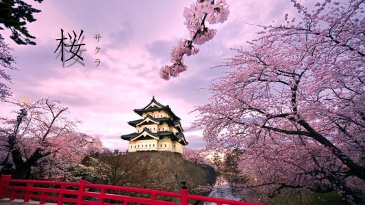 济南日语培训班在哪里有比较不错的机构推荐