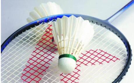 苏州教学好的少儿羽毛球机构有哪些