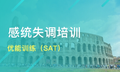 北京专注于少儿感统失调训练的机构是哪家