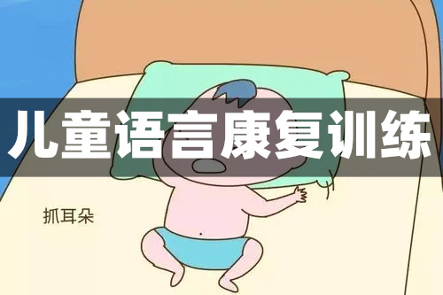 武汉儿童语言障碍训练哪里好点