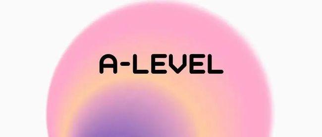 广州越秀区比较专业的a-level培训机构