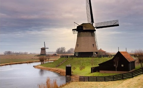 上海荷兰留学申请机构哪家好