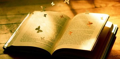 福州雅思英语辅导班哪个好