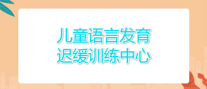 武汉儿童语言发育迟缓训练哪些机构好