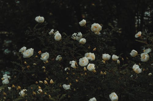 2022高考输入分数查大学的软件 有哪些推荐