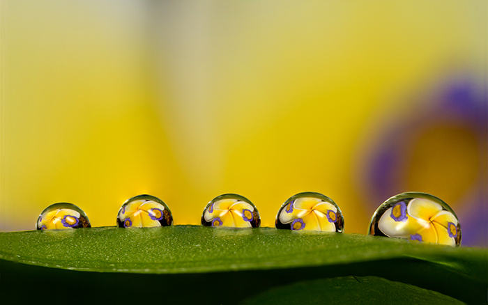 深圳学摄影去那里学 摄影师推荐陈阅摄影师培训