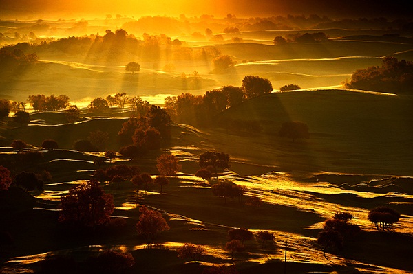 深圳学摄影去那里学 摄影师推荐陈阅摄影师培训