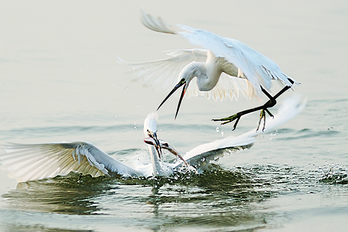 深圳学摄影去那里学 摄影师推荐陈阅摄影师培训