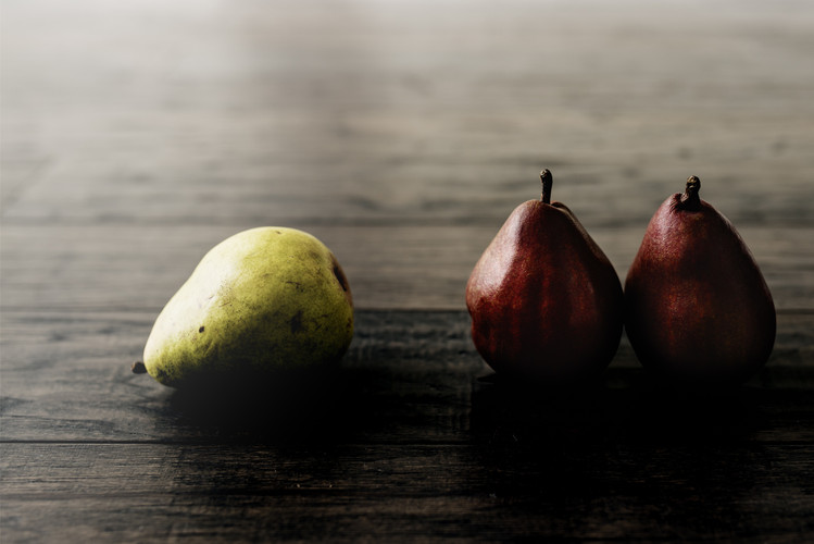 适合女生自考本科的十大专业