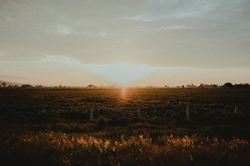 自考本科要不要考英语 自考本科要不要考英语