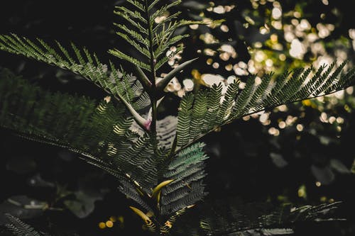 成人自考大专考什么科目 难度大吗 成人自考大专考什么科目 难度大吗