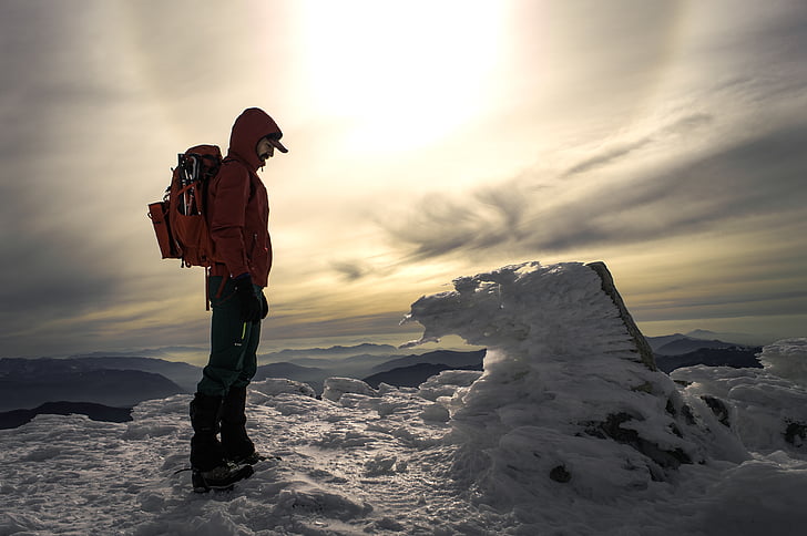 成人专升本自考流程