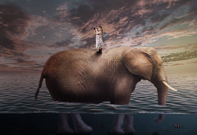 自考档案丢了怎么补办？