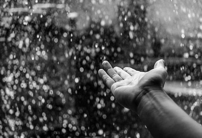 广东自考一年考几次试 一次可以报几门