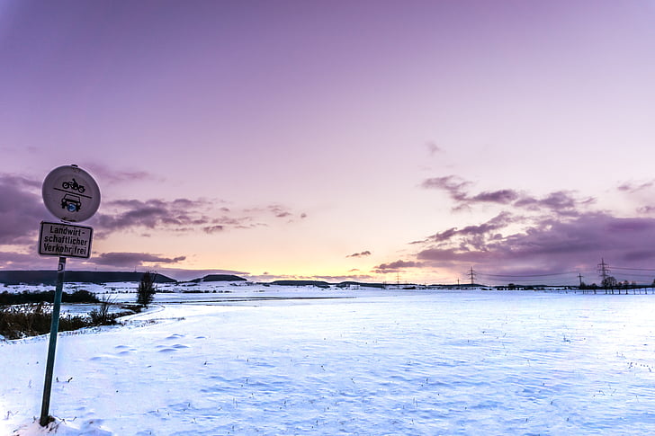 成人自考专升本考几门