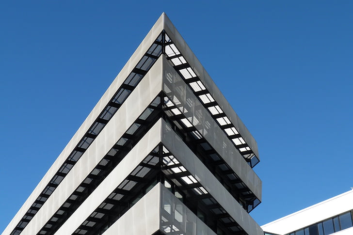 自考本科和成人本科有什么区别