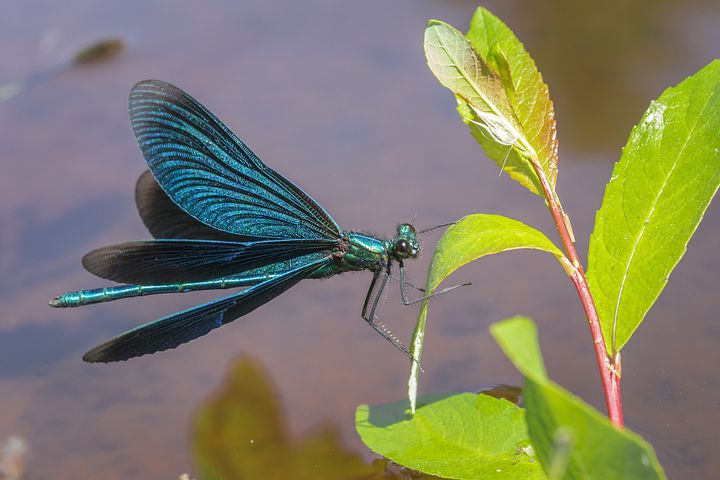 广东成人自考公共课程的考试科目学分高吗？