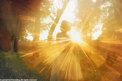 捷登教育文化路校区的具体电话是多少