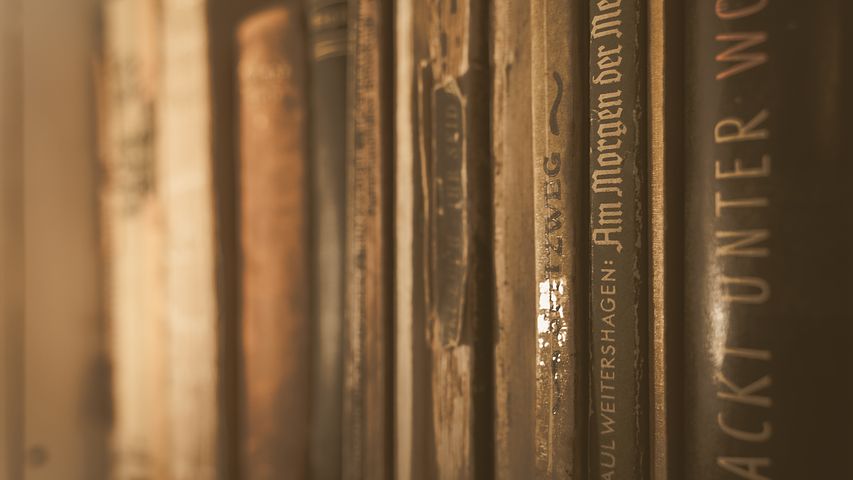 统招大专和自考本科的区别是什么