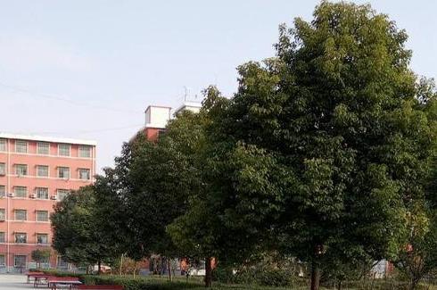 西平县职业教育中心怎么样、好不好