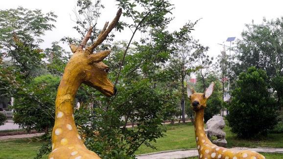 江苏省车辐中等专业学校怎么样、好不好