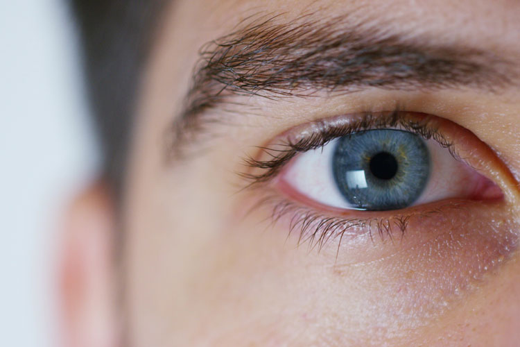 1605855582270204.jpg 22.jpg