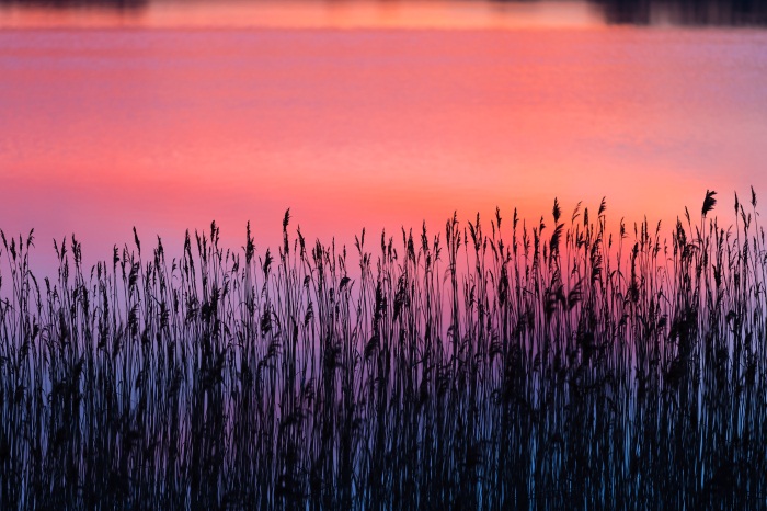 文章插图 (20).jpg