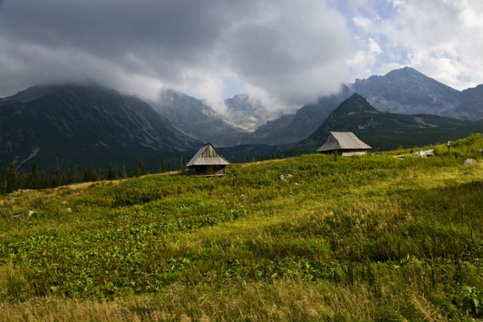 1598435674723106.jpg 77b.jpg