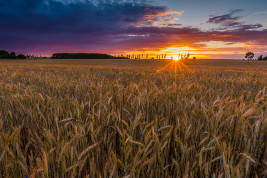 1598854810101623.jpg 116bb.jpg