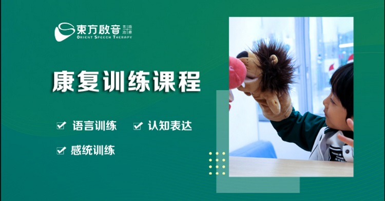 佛山有实力的儿童自闭症康复机构推荐