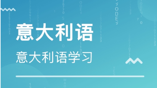 上海松江区意大利语哪家好