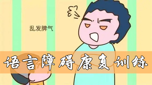 重庆2岁孩子说话晚怎么办