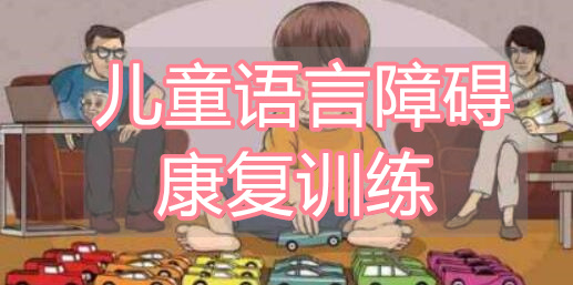 武汉十分不错的儿童语言矫正康复中心推荐哪家