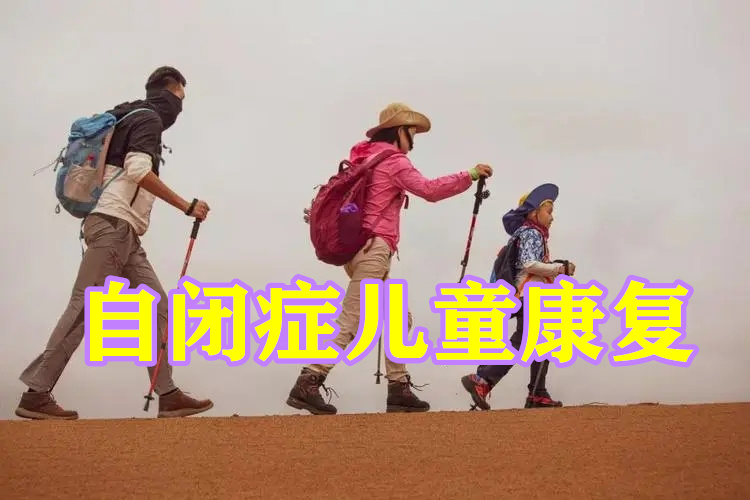 湖南自闭症机构排上名的是哪个