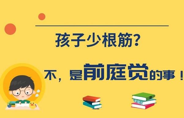 沈阳哪几个地方的机构训练儿童感统比较好
