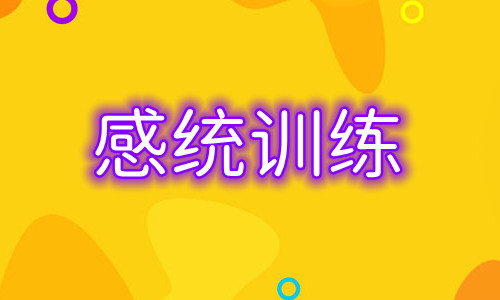 重庆儿童语言感统训练机构口碑前几榜一览表