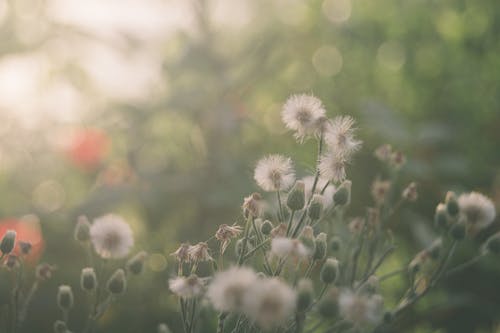 自学考试通过后还有入学考试吗？