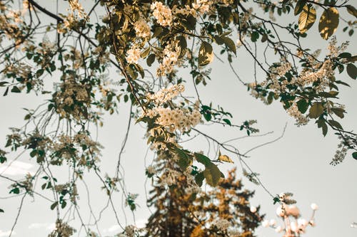 函授是不是全日制 报考流程是什么