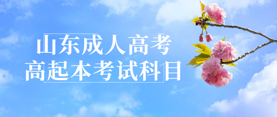 山东成人高考高起本考试科目