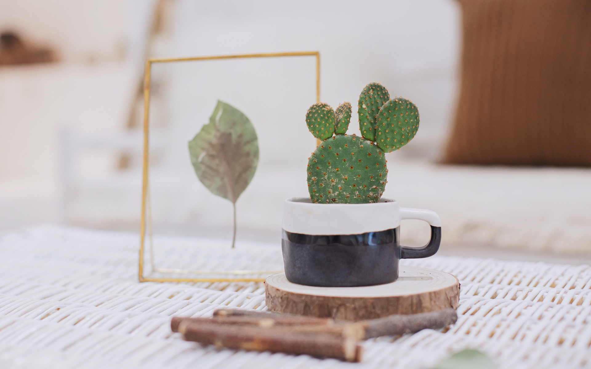 山东成人高考通过后毕业难吗?