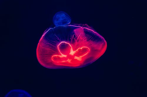 初中自考大专学历需要什么条件 在哪报名