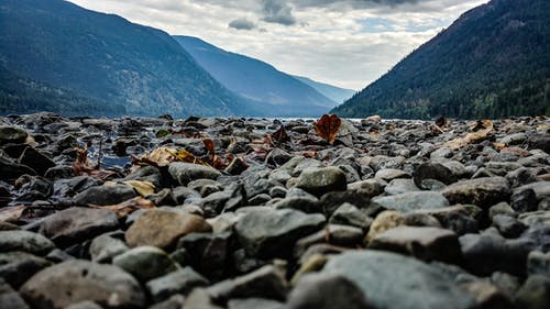 深圳学历提升网络教育和成人高考有什么区别？