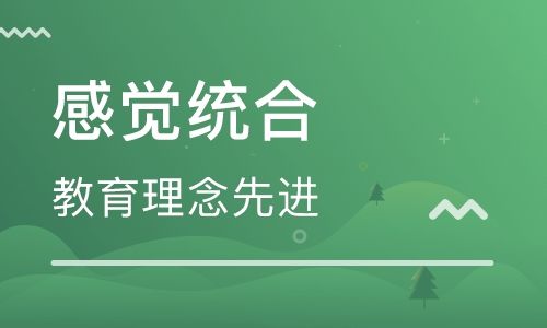 北京哪里有做儿童感统训练的专业机构