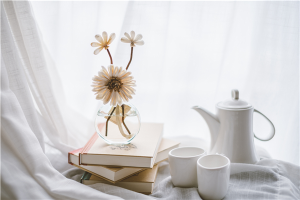 宁德网络教育学习方式 宁德网络教育学习