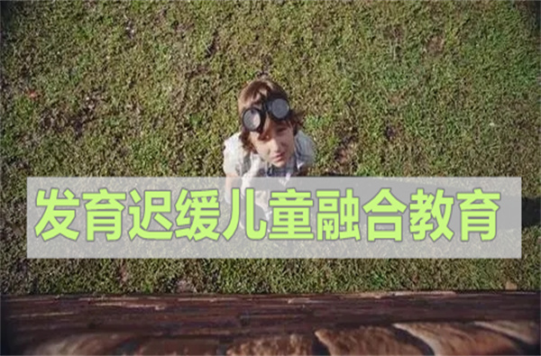 武汉发育迟缓儿童融合教育机构有哪些